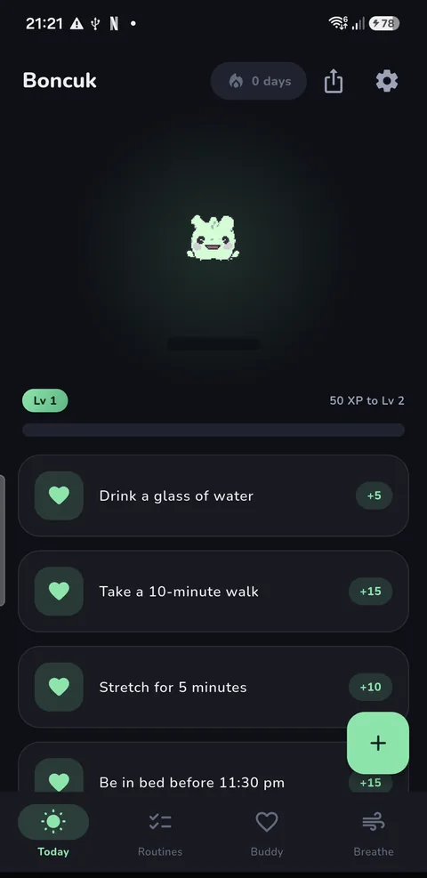 Today's tasks